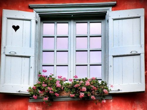 Rebord de fenêtre agrémenté d'une jardinière fleurie