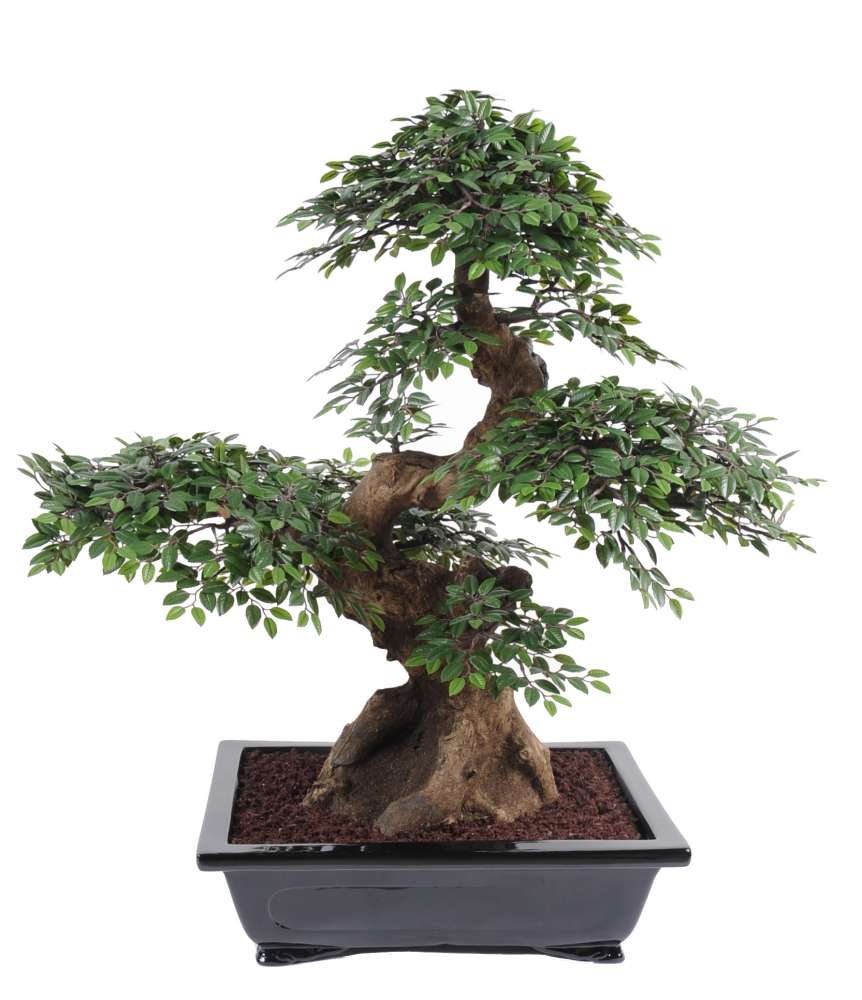 bonsai artificiel