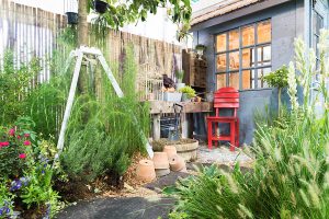 Jardin décoré avec des plantes