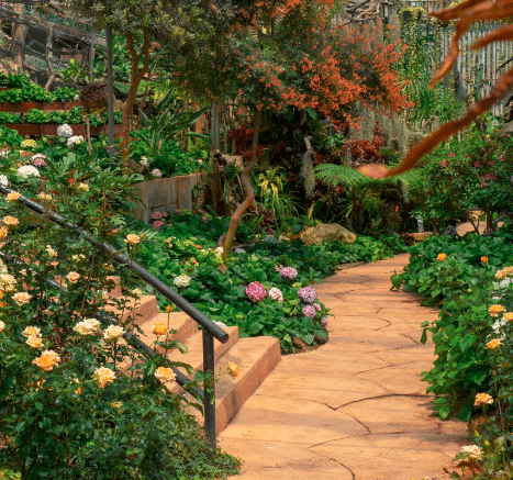 Allée de jaridn décorée avec plantes et pavés